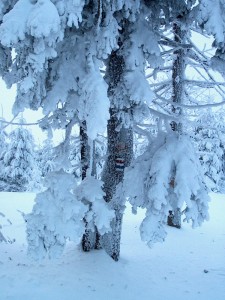 2001.12.15 15.19.36.jpg